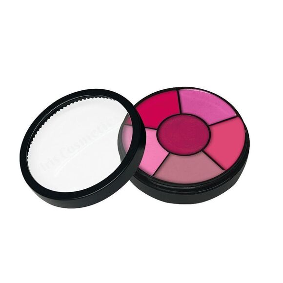 Iris Cosmetics Lipstick Wheel - Picture 4 of 4